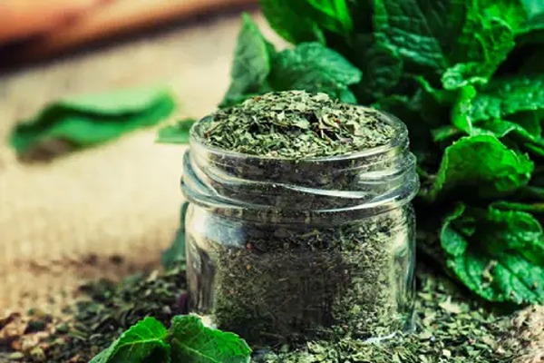 قیمت خرید نعناع خشک در سوپ + فروش ویژه